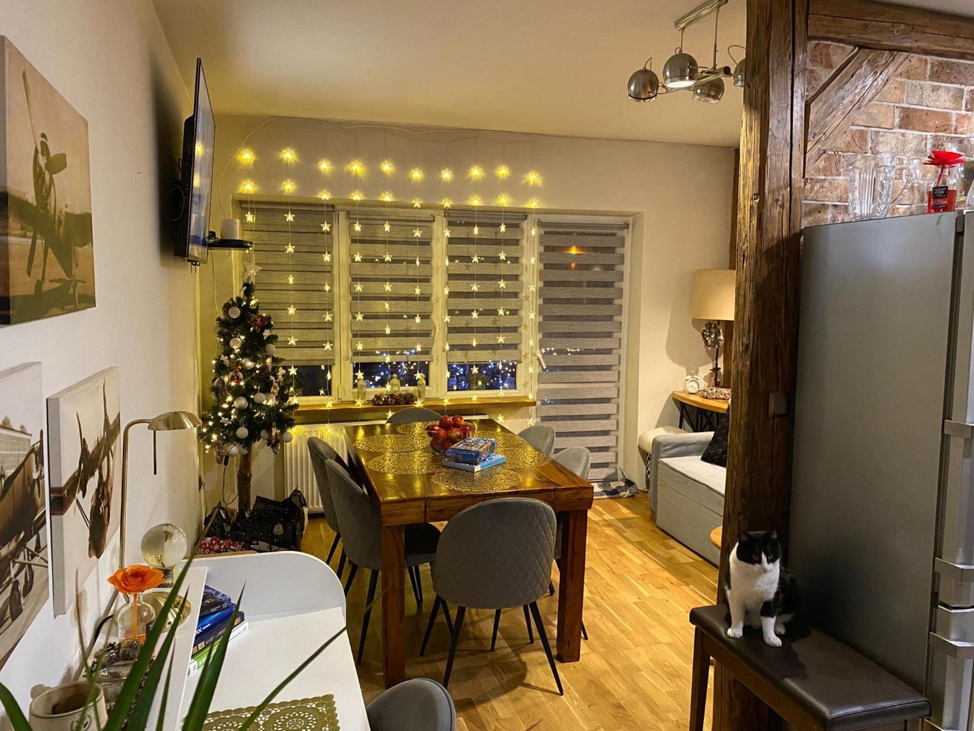 Apartament Centrum Nowa Ruda Dış mekan fotoğraf