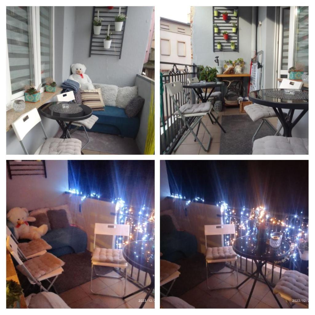 Apartament Centrum Nowa Ruda Oda fotoğraf